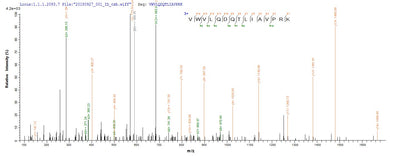 Based on the SEQUEST from database of E.coli host and target protein, the LC-MS/MS Analysis result of this product could indicate that this peptide derived from E.coli-expressed Homo sapiens (Human) IL36A.