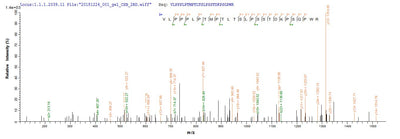 Based on the SEQUEST from database of E.coli host and target protein, the LC-MS/MS Analysis result of this product could indicate that this peptide derived from E.coli-expressed Homo sapiens (Human) ANGPTL2.