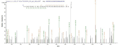 Based on the SEQUEST from database of E.coli host and target protein, the LC-MS/MS Analysis result of this product could indicate that this peptide derived from E.coli-expressed Schizosaccharomyces pombe (strain 972 / ATCC 24843) (Fission yeast) fap2.