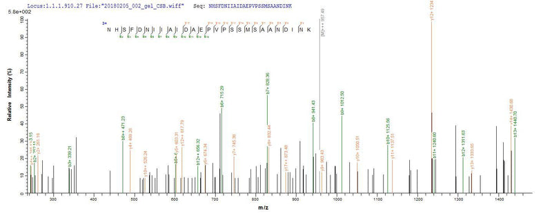 Based on the SEQUEST from database of E.coli host and target protein, the LC-MS/MS Analysis result of this product could indicate that this peptide derived from E.coli-expressed Schizosaccharomyces pombe (strain 972 / ATCC 24843) (Fission yeast) fap2.