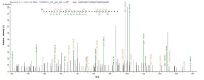 Based on the SEQUEST from database of E.coli host and target protein, the LC-MS/MS Analysis result of this product could indicate that this peptide derived from E.coli-expressed Schizosaccharomyces pombe (strain 972 / ATCC 24843) (Fission yeast) fap2.