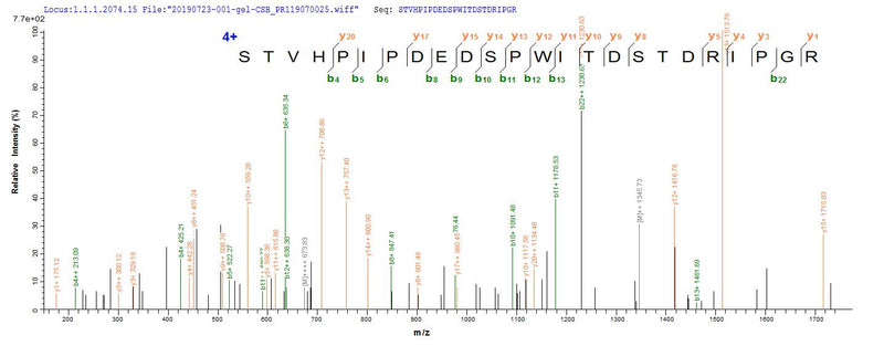 Based on the SEQUEST from database of Mammalian Cell host and target protein, the LC-MS/MS Analysis result of this product could indicate that this peptide derived from Mammalian Cell-expressed Homo sapiens (Human) CD44.