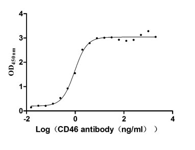 Activity Measured by its binding ability in a functional ELISA. Immobilized CD46 at 2 μg/ml can bind Anti-CD46 rabbit monoclonal antibody, the EC 50 of human CD46 protein is 0.8333-1.054 ng/ml. Biological Activity Assay