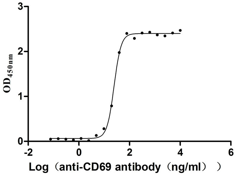 Activity Measured by its binding ability in a functional ELISA. Immobilized Human CD69 at 2μg/mL can bind Anti-CD69 recombinant antibody ， the EC 50 is 23.17-26.04 ng/mL. Biological Activity Assay