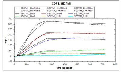 Activity Human CD7 protein hFc and Myc tag captured on COOH chip can bind Human SECTM1 protein hFc tag with an affinity constant of 1.84 nM as detected by LSPR Assay. Biological Activity Assay