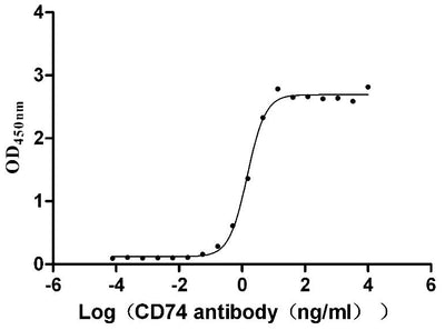 Activity Measured by its binding ability in a functional ELISA. Immobilized Human CD74 at 2 μg/ml can bind Anti-CD74 recombinant antibody , the EC 50 is 1.317-1.646 ng/mL.