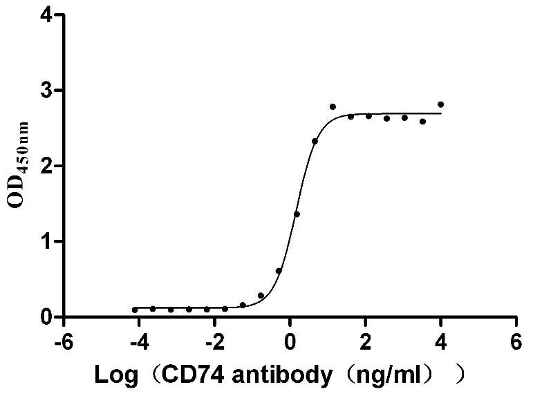 Activity Measured by its binding ability in a functional ELISA. Immobilized Human CD74 at 2 μg/ml can bind Anti-CD74 recombinant antibody , the EC 50 is 1.317-1.646 ng/mL.