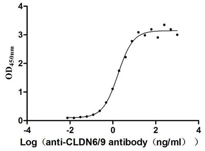 Activity Measured by its binding ability in a functional ELISA. Immobilized Human CLDN6 at 10 μg/ml can bind Anti-CLDN6/9 recombinant antibody , the EC 50 is 1.501-2.035 ng/mL Biological Activity Assay