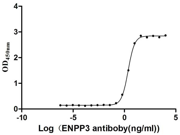 Activity Measured by its binding ability in a functional ELISA. Immobilized Human ENPP3 at 2 μg/ml can bind anti-ENPP3 recombinant antibody , the EC 50 is 2.151-2.492 ng/mL. Biological Activity Assay