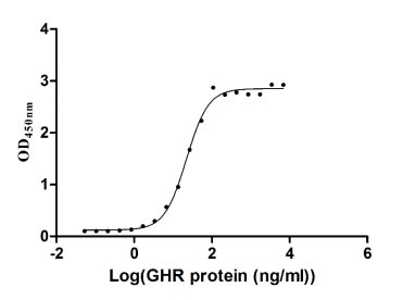 Activity Measured by its binding ability in a functional ELISA. Immobilized GH1 at 1 μg/ml can bind human GHR, the EC 50 of the protein is 19.28-25.29 ng/ml. Biological Activity Assay