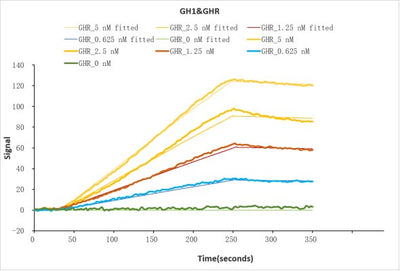 Human GH1 protein his/myc tag captured on COOH chip can bind Human GHR protein Fc tag with an affinity constant of 6.1 nM as detected by LSPR Assay. Biological Activity Assay