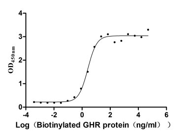 Activity Measured by its binding ability in a functional ELISA. Immobilized human GH1 at 2 μg/ml can bind Biotinylated human GHR , the EC 50 is 2.067-3.208 ng/ml. Biological Activity Assay