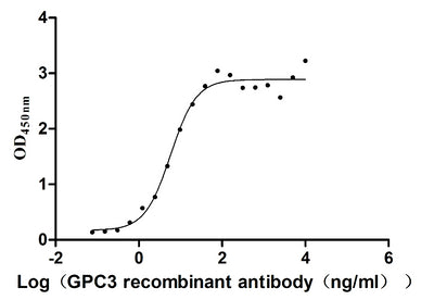 Activity Measured by its binding ability in a functional ELISA. Immobilized human GPC3 (G537R) at 5 μg/ml can bind Anti-GPC3 recombinant antibody, the EC 50 is 4.739-7.092 ng/ml. Biological Activity Assay