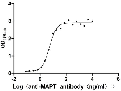 Activity Measured by its binding ability in a functional ELISA. Immobilized Human MAPT at 2 μg/ml can bind Anti-MAPT recombinant antibody , the EC 50 is 4.547-6.284 ng/mL. Biological Activity Assay