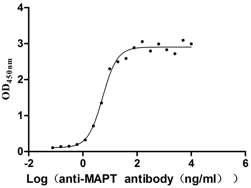 Activity Measured by its binding ability in a functional ELISA. Immobilized Human MAPT at 2 μg/ml can bind Anti-MAPT recombinant antibody , the EC 50 is 4.547-6.284 ng/mL. Biological Activity Assay