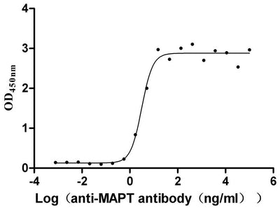 Activity Measured by its binding ability in a functional ELISA. Immobilized Macaca mulatta MAPT at 2 μg/ml can bind anti-MAPT recombinant antibody ,the EC 50 is 2.464-3.979 ng/mL. Biological Activity Assay