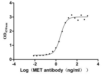 Activity Measured by its binding ability in a functional ELISA. Immobilized MET at 2 μg/ml can bind Anti-MET recombinant antibody, the EC 50 is 2.379-3.094 ng/ml. Biological Activity Assay