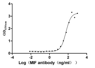 Activity Measured by its binding ability in a functional ELISA. Immobilized MIF at 2 μg/ml can bind Anti- MIF Rabbit Monoclonal Antibody, the EC 50 is 49.61-69.45 ng/ml. Biological Activity Assay