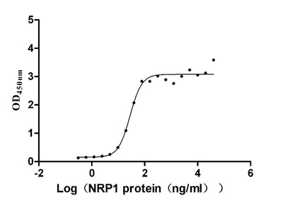 Activity Measured by its binding ability in a functional ELISA. Immobilized human VEGF165 ) at 2 μg/ml can bind human NRP1, the EC 50 is 22.68-34.55 ng/ml. Biological Activity Assay