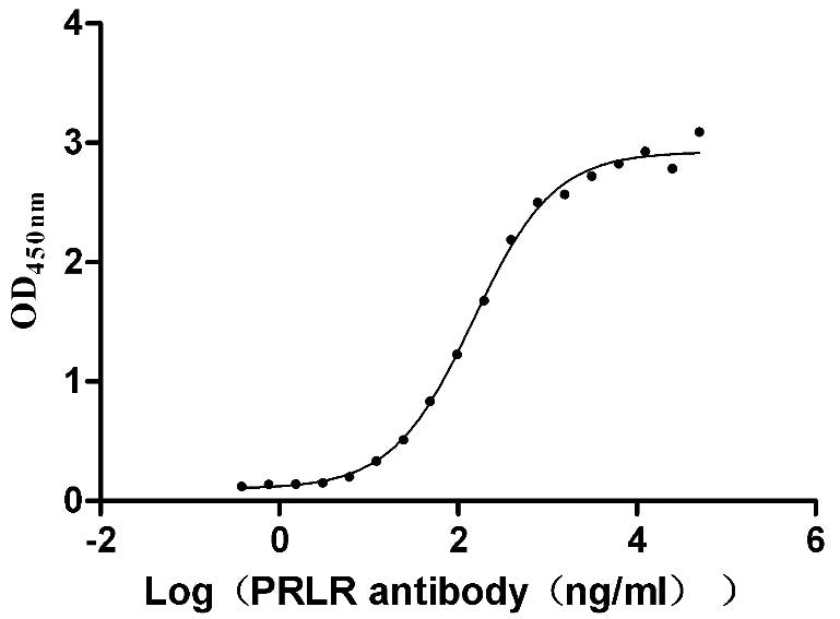 Activity Measured by its binding ability in a functional ELISA. Immobilized Human PRLR at 2 μg/ml can bind Anti-PRLR recombinant antibody , the EC 50 is 126.8-171.9 ng/mL. Biological Activity Assay