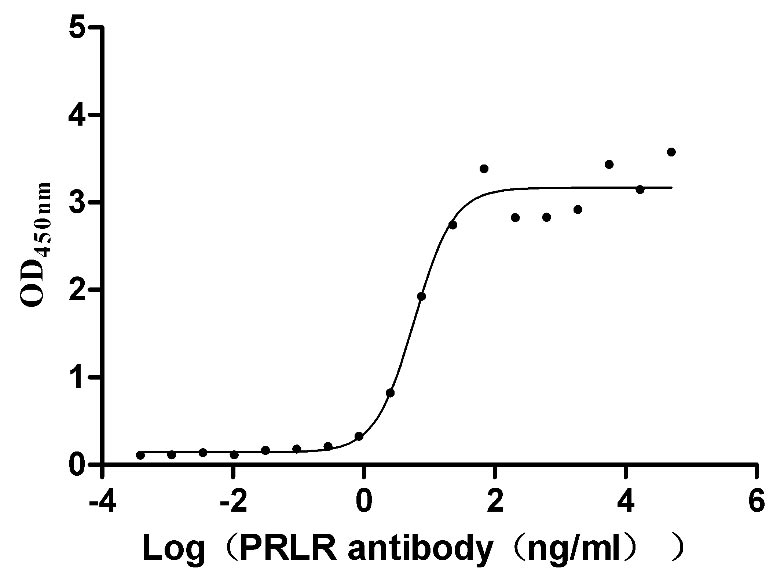 Activity Measured by its binding ability in a functional ELISA. Immobilized Mouse Prlr at 5 μg/ml can bind Anti-PRLR recombinant antibody , the EC 50 is 4.021-8.706 ng/mL.