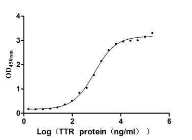 Activity Measured by its binding ability in a functional ELISA. Immobilized RBP4 at 5 μg/ml can bind TTR , the EC 50 is 695.0-970.1 ng/ml. Biological Activity Assay