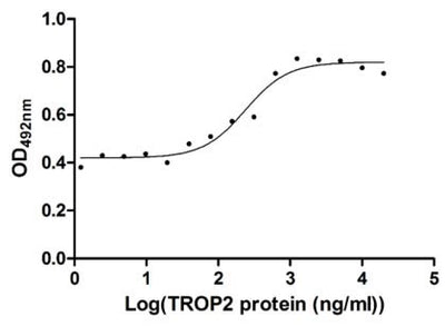 Activity Measured in cell activity assay using U937 cells, the EC 50 for this effect is 190.2-298.6 ng/ml. Biological Activity Assay