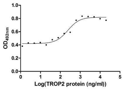 Activity Measured in cell activity assay using U937 cells, the EC 50 for this effect is 190.2-298.6 ng/ml. Biological Activity Assay