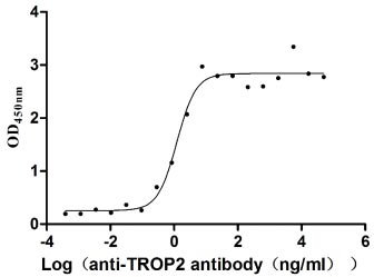 Activity Measured by its binding ability in a functional ELISA. Immobilized Human TROP2 at 2 μgg/mL can bind Anti-TROP2 recombinant antibody , the EC 50 is 0.9108-1.640 ng/mL. Biological Activity Assay