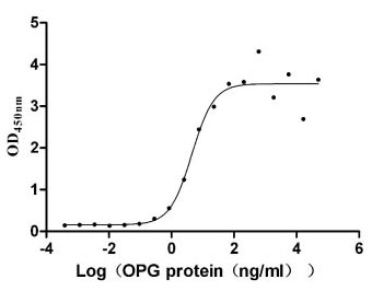 Activity Measured by its binding ability in a functional ELISA. Immobilized TNFSF11 ) at 10 μg/ml can bind human TNFRSF11B, the EC 50 is 2.651-7.646 ng/ml. Biological Activity Assay