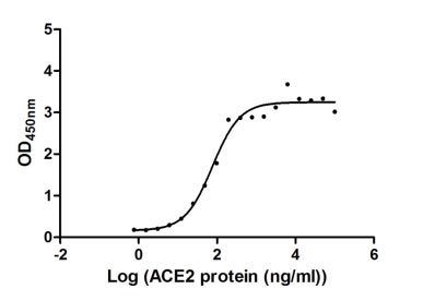 Activity Measured by its binding ability in a functional ELISA. Immobilized SARS-CoV-2-S at 2 μg/ml can bind human ACE2 , the EC 50 of SARS-CoV-2-S protein is 56.64 - 103.6 ng/ml.