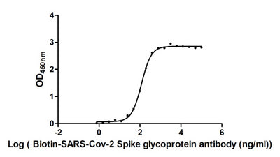 Measured by its binding ability in a functional ELISA. Immobilized SARS-CoV-2-S1-RBD at 2 μg/ml can bind Biotinylated Anti-SARS-CoV-2-S Antibody , the EC 50 of SARS-CoV-2-S1-RBD protein is 106.2-131.2 ng/ml. Biological Activity Assay