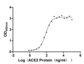 Activity Measured by its binding ability in a functional ELISA. Immobilized SARS-CoV-2-S1-RBD (V367F) at 5 μg/ml can bind human ACE2 , the EC 50 is 65.58-90.16 ng/ml. Biological Activity Assay