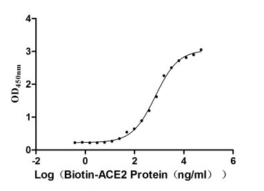 Activity Measured by its binding ability in a functional ELISA. Immobilized SARS-CoV-2-S1-RBD(W436R) at 2 μg/ml can bind Biotinylated human ACE2 , the EC 50 is 625.3-783.2 ng/ml. Biological Activity Assay