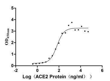 Activity Measured by its binding ability in a functional ELISA. Immobilized SARS-CoV-2-S1-RBD (G476S) at 5 μg/ml can bind human ACE2 , the EC 50 is 47.11-92.3 ng/ml. Biological Activity Assay