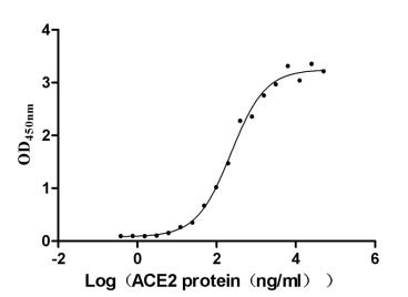 Activity Measured by its binding ability in a functional ELISA. Immobilized SARS-CoV-2-S1-RBD (V483A) at 5 μg/ml can bind human ACE2 , the EC 50 is 196.4-272.1 ng/ml. Biological Activity Assay