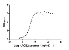 Activity Measured by its binding ability in a functional ELISA. Immobilized SARS-CoV-2-S1-RBD (N501Y) at 2 μg/ml can bind human ACE2 , the EC 50 is 12.95-17.87 ng/ml. Biological Activity Assay