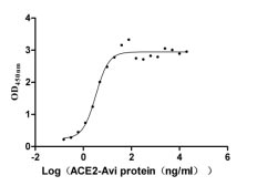 Activity Measured by its binding ability in a functional ELISA. Immobilized SARS-CoV-2-S1-RBD (N501Y) at 2 μg/ml can bind human ACE2 , the EC 50 is 2.492-4.401 ng/ml. Biological Activity Assay