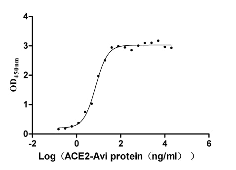 Activity Measured by its binding ability in a functional ELISA. Immobilized SARS-CoV-2-S1-RBD (E484K) at 2 μg/ml can bind human ACE2 , the EC 50 is 6.597-8.187 ng/ml. Biological Activity Assay