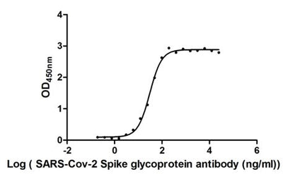 Activity Measured by its binding ability in a functional ELISA. Immobilized SARS-CoV-2-S1-RBD at 2 μg/ml can bind SARS-CoV-2-S Antibody , the EC 50 of SARS-CoV-2-S1-RBD protein is 27.96 - 33.35 ng/ml. Biological Activity Assay