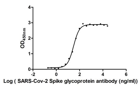 Activity Measured by its binding ability in a functional ELISA. Immobilized SARS-CoV-2-S1-RBD at 2 μg/ml can bind SARS-CoV-2-S Antibody , the EC 50 of SARS-CoV-2-S1-RBD protein is 27.96 - 33.35 ng/ml. Biological Activity Assay