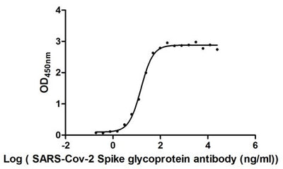 Activity Measured by its binding ability in a functional ELISA. Immobilized SARS-CoV-2-S1-RBD at 2 μg/ml can bind SARS-CoV-2-S Antibody , the EC 50 of SARS-CoV-2-S1-RBD protein is 13.96 -16.62 ng/ml. Biological Activity Assay