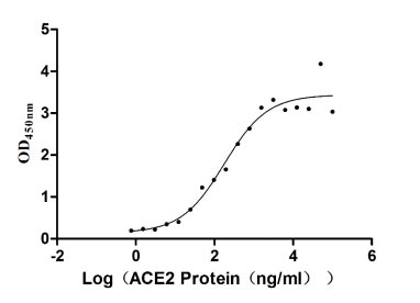 Activity Measured by its binding ability in a functional ELISA. Immobilized SARS-CoV-2-S1-RBD at 5 μg/ml can bind human ACE2 , the EC 50 is 2.785-9.139 ng/ml. Biological Activity Assay