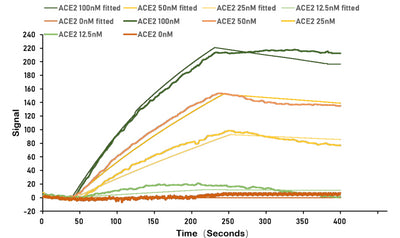 Activity SARS-CoV-2 Spike protein RBD his/myc tag captured on COOH chip can bind Human ACE2 protein Fc tag with an affinity constant of 13.8 nM as detected by LSPR Assay. Biological Activity Assay