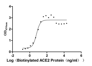 Activity Measured by its binding ability in a functional ELISA. Immobilized SARS-CoV-2-S1-RBD at 2 μg/ml can bind Biotinylated human ACE2 , the EC 50 is 4.599-8.322 ng/ml Biological Activity Assay