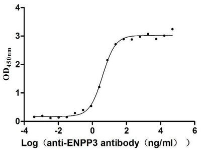 Activity Measured by its binding ability in a functional ELISA. Immobilized Macaca fascicularis ENPP3 at 2 μg/ml can bind Anti-ENPP3 recombinant antibody , the EC 50 is 3.313-4.724 ng/mL. Biological Activity Assay