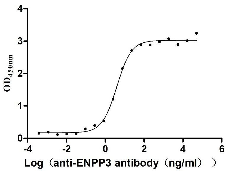 Activity Measured by its binding ability in a functional ELISA. Immobilized Macaca fascicularis ENPP3 at 2 μg/ml can bind Anti-ENPP3 recombinant antibody , the EC 50 is 3.313-4.724 ng/mL. Biological Activity Assay