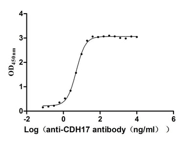 Activity Measured by its binding ability in a functional ELISA. Immobilized Macaca fascicularis CDH17 at 2μg/mL can bind Anti-CDH17 antibody, the EC 50 is 4.666-5.447 ng/mL Biological Activity Assay