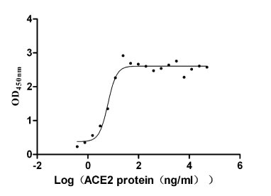 Activity Measured by its binding ability in a functional ELISA. Immobilized SARS-CoV S-RBD at 2 μg/ml can bind Paguma larvata ACE2, the EC 50 is 5.056-7.559 ng/ml. Biological Activity Assay