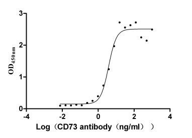 Activity Measured by its binding ability in a functional ELISA. Immobilized CD73 at 2 μg/ml can bind Anti- CD73 Rabbit Monoclonal Antibody, the EC 50 is 3.212-4.525 ng/ml. Biological Activity Assay